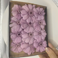 Fleurs de cosmos naturelles préservées, 12 pièces/boîte, 4-5 cm, fleurs de gerbera séchées éternelles, véritables, pour mariage, décoration de la maison, cadeau