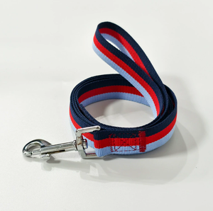 Laisse en polyester pour animaux de compagnie, laisse en maille pour chien, laisse de promenade en plein air pour Golden Retriever et <span class=keywords><strong>Labrador</strong></span> - Product Image 5