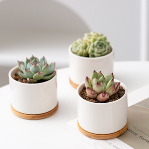 Jardinières de bureau en céramique, <span class=keywords><strong>mini</strong></span> pot pour <span class=keywords><strong>plantes</strong></span> <span class=keywords><strong>succulentes</strong></span> avec plateau en bambou, motif personnalisé, pot à fleurs pour étagère, chambre à coucher - Product Image 1