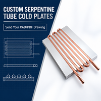 Plaque de refroidissement liquide personnalisée pour serveur, plaque de refroidissement à eau OEM pour centre de données IA, refroidissement des GPU et des CPU