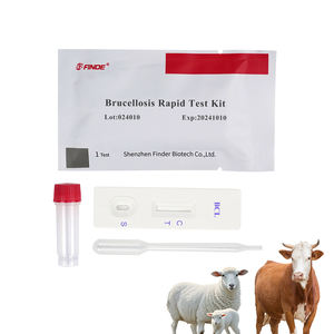 Veterinária bovino brucella anticorpo Ab teste rápido kit cartão tira para bovinos vaca ovinos cabra detecção brucelose bovina teste - Product Image 1