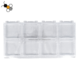 Marco de panal de plástico, peine, caja de miel, base y casetes para marco Langstroth - Product Image 3