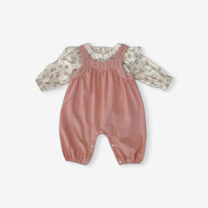 Conjunto de Roupas para Meninas Pequenas de Primavera, Camisa de Manga Longa Estampada e Macacão, 2 Peças, Moda Infantil - Product Image 1