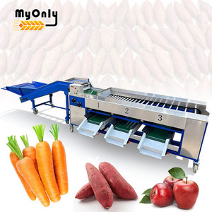 Machine de calibrage et de tri de fruits et légumes MY pour tomates cerises, myrtilles et mangues - Product Image 1
