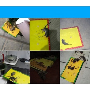 Una gran cantidad de pegatinas adhesivas para ratones al por mayor Agrandar y espesar la trampa para ratones del hogar - Product Image 5