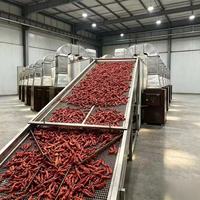 Fruit- en groente-droogband met gaas, SUS304 roestvrij staal, continue meerlaagse transportband, hetelucht droogmachine voor voedselverwerking