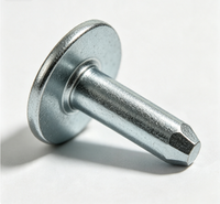 Rivet à tête à bride en acier au carbone zingué sur mesure, usinage CNC, rivet massif anti-desserrage, haute résistance à la traction, brochage par électroérosion à fil