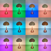Lampe de table LED Megapower moderne rechargeable portable à commande tactile RGB en aluminium, dimmable 2700K-6000K, pour bar, hôtel, décorative, CRI