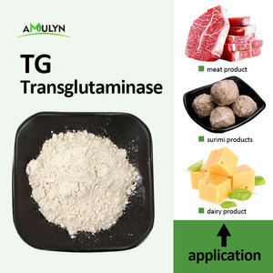 Трансглутаминаза AMULYN (TG-фермент) пищевого класса, мясной клей, 120-3000 МЕ, с технической поддержкой, пищевая добавка, фермент TG - Product Image 3