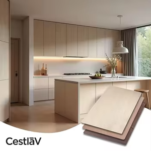 Panneau mural <span class=keywords><strong>intérieur</strong></span> en bois plaqué de qualité supérieure, moderne, résistant à l'<span class=keywords><strong>humidité</strong></span>, avec traitements de surface personnalisés, design graphique - Product Image 6