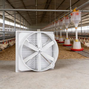 ระบบระบายอากาศฟาร์มปศุสัตว์แบบปรับแต่งได้ <span class=keywords><strong>พัดลม</strong></span><span class=keywords><strong>ดูด</strong></span><span class=keywords><strong>อากาศ</strong></span>แบบแกนติดผนังทำจากไฟเบอร์กลาส - Product Image 5