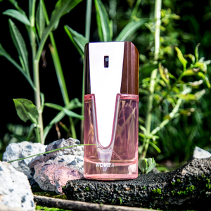 <span class=keywords><strong>Perfume</strong></span> afrutado de flores con logotipo personalizado de proveedor de China para mujer - Product Image 5