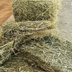 Heno de Alfalfa para una Alimentación Saludable del Ganado con Forraje Verde Suave, Rico en Nutrientes Naturales y Adecuado para el Uso Diario en la Granja - Product Image 4