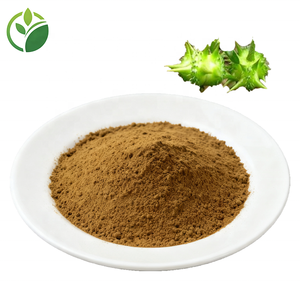 Groothandelsprijs Hoge Kwaliteit Saponinen <span class=keywords><strong>Tribulus</strong></span> Terrestris Extract 98% Poeder Voedingskwaliteit in Trommel- of Flesverpakking - Product Image 2