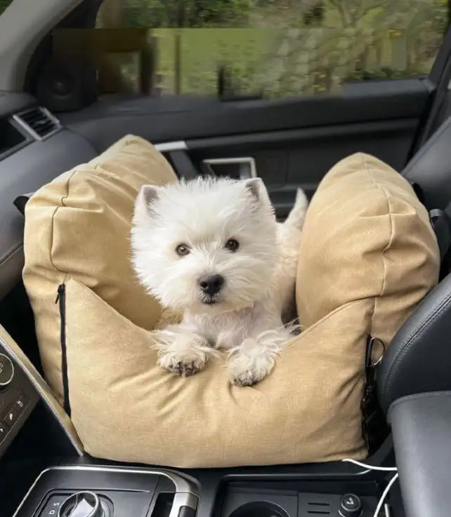 Portable Cat Dog Car safety seat bag Foldable Soft Solid Travel Safety Belt Waterproof Booster Pet Dog Car Seat