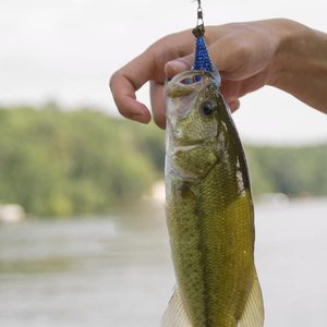 Saldi all'ingrosso 10 pz/borsa 8cm/4.5g esche da <span class=keywords><strong>pesca</strong></span> esche bioniche esche finte esche esche morbide <span class=keywords><strong>esca</strong></span> <span class=keywords><strong>esca</strong></span> da <span class=keywords><strong>pesca</strong></span> - Product Image 6