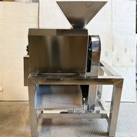 Commerciële automatische fruitpers voor bananen en mango's, sapcentrifuge en mango-pulpmachine