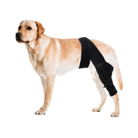 Genouillère professionnelle pour chien pour ACL déchiré Support en néoprène confortable et réglable pour les jambes avant/arrière