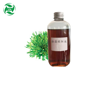 Extracto de gallnut, fruto de nopal, hoja de loto, hoja de senna, concentrado de algas marinas, suministro de fábrica, código de reporte disponible. - Product Image 3