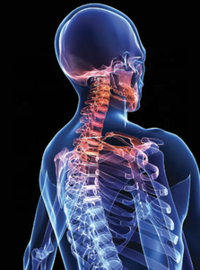 เลเซอร์1064nm 30W/60W กิกะกะสำหรับการบำบัดบรรเทาอาการปวด - Product Image 4