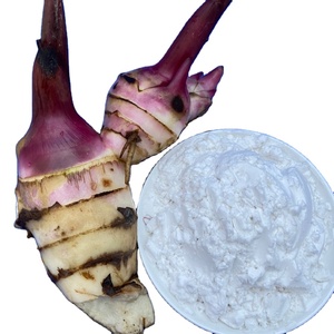 High Quality Arrowroot <b>Starch</b> Powder Vietnam Origin For Food Processing - Product Image 4
