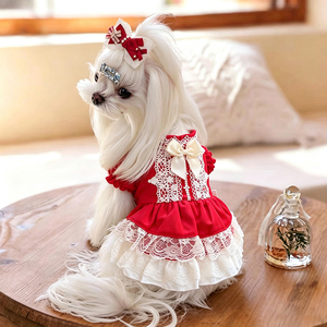 Vêtements haut de gamme pour chiens <span class=keywords><strong>Papillon</strong></span> pour l'automne et l'hiver, robes rouges du Nouvel An chinois pour chiots et petits chiens, robes moelleuses pour animaux de compagnie - Product Image 2