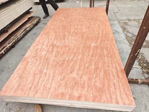 Prezzo di fabbrica commerciale okoume' Bintangor <span class=keywords><strong>compensato</strong></span> di <span class=keywords><strong>pioppo</strong></span> 1250*2500*18mm E0 Design moderno stile per mobili - Product Image 6