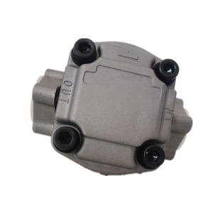 การออกแบบ OEM ODM แบบมาตรฐานของหน้าแปลนช่วยให้ GPYZ5.8R323B9Y0 สามารถเปลี่ยนแทนปั๊มเดิมได้อย่างง่ายดาย - Product Image 6