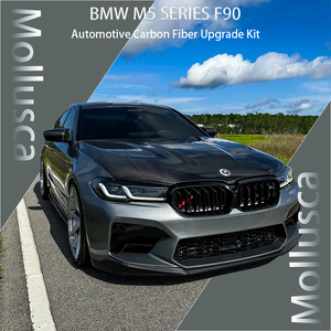 For M5 Series F90 True Carbon Tail Throat Dry Carbon - Product Image 2