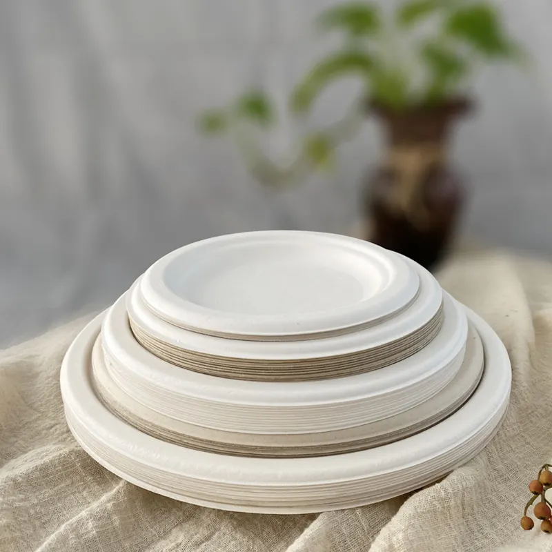 Customizable 10 Inches Greaseproof And Support Up To 200 Centigrade Eco Friendly Biodegradable Bagasse Pizza Paper Plate