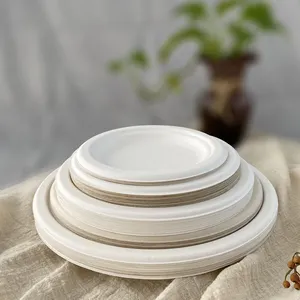 Pfas Free Bagasse Paper Plate Food Safety Disposable Biodegradable Paper  Plates Compostable Paper Plates 9 Inch Bulk - China Compost Tableware and  Plate price