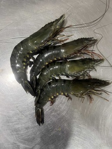 Chất lượng cao Đen Tiger tôm đen Tiger tôm - Product Image 3