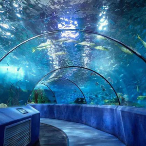 Aangepaste Hoge Kwaliteit Dik Laag Ijzer Extra Heldere Veiligheid Gehard Glas Aquarium - Product Image 2