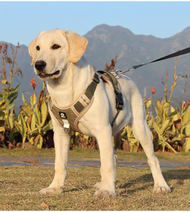 Arnés Reflectante Antipull para Perros con Soporte para <span class=keywords><strong>AirTag</strong></span>, Arnés Ajustable en Forma de Y Antiescape para Mascotas con Asa - Product Image 1