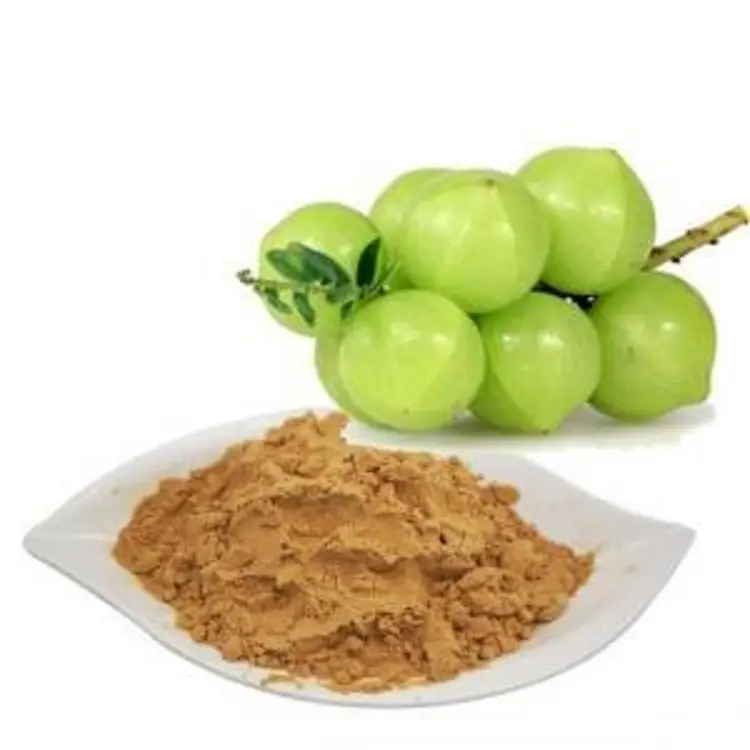 High quality Phyllanthus emblica Extract/Amla Extract powder