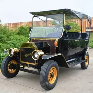 Carrito de Golf Vintage de Lujo, Estilo 2025, para Turismo y Playa, 8 Asientos, Autonomía de 50-70 km, Certificado CE, Batería de Plomo-Ácido, 6 Personas - Product Image 5