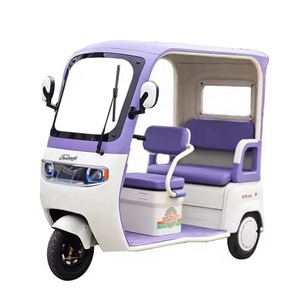 Triciclo Eléctrico Semicerrado con Llantas Gruesas de 10 Pulgadas, Motocicleta Triciclo de 60V 800W, Capacidad de Carga 300kg, Triciclo Eléctrico para Pasajeros - Product Image 1