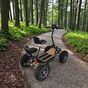 Scooter électrique Quad électrique à 4 roues, moto tout-terrain à quatre roues - Product Image 4