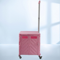 Chariot de courses portable pliable et réutilisable pour le camping et le transport de bagages, vente en gros