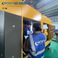 Générateur au gaz naturel Ritech 800kva 1000kva 1250kva 1500kva 1800kva 2000kva, type ouvert, type conteneur, puissance du générateur au gaz naturel