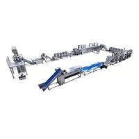Industriële kleine schaal automatische friet- en chipslijn friteuse, voedselveilige roestvrij staal, capaciteit 300-1000kg/uur