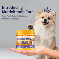 Tablet Multivitamin Kunyah untuk Anjing & Kucing dari Pabrik, dengan Minyak Ikan & Vitamin E, Penyerapan Cepat & Aman untuk Semua Tahap Hidup