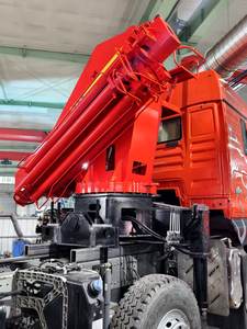 قابلة للطي مخصصة محمولة على شاحنة (جهاز تحكم عن بعد اختياري ، أنواع مختلفة من الخطاف) - Product Image 4