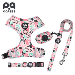 おしゃれな犬用ハーネスとリードのセット、ペット用首輪とリード付き、OEMカスタム、個性的なペット用ノープルハーネスセット - Product Image 1