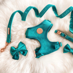 2023ベルベットコーデュロイ犬用ハーネスセットメーカーデザイナー犬用ハーネスとリーシュセット卸売高級カスタムロゴ犬用ハーネス - Product Image 5