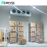 CRYO Promenade dans le congélateur Système de refroidissement de la chambre froide Promenade dans la glacière Entreposage personnalisé pour les fruits