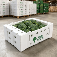 Boîte d'emballage en polypropylène ondulé personnalisée pour le brocoli, pour l'exportation de légumes frais en chaîne du froid, imprimée UV, durable