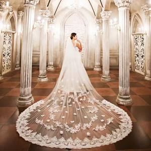 Boda de la novia Velo DE BODA principal Cola larga Tocado de cola Color champán Super Hada Licencia retro Accesorios para fotos - Product Image 5