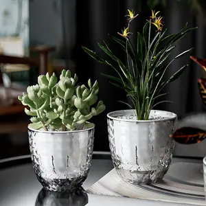 Pot bunga hidroponik plastik transparan, Pot penyimpanan tanaman penyerap sendiri