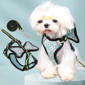 Fábrica al por mayor reflectante pequeño perro Correa y arnés Flor Mariposa estampado diseñador perro arnés chaleco - Product Image 1